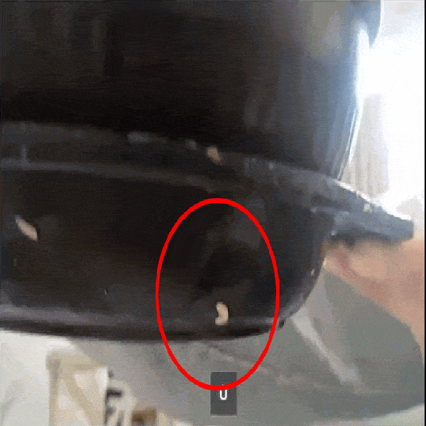 Khách hàng kinh hoàng khi thấy giòi bò trên đĩa ăn ở quán Hà Nội