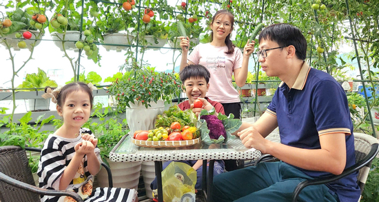 'Mẹ còi' Đà Nẵng cần mẫn vác trăm kg đất lên sân thượng làm vườn rau trái sum sê