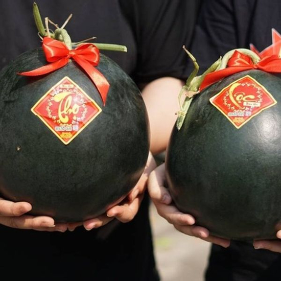 Bí ẩn của loại dưa hấu