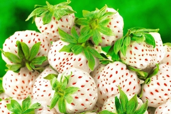 Loại quả được ví là món ngon