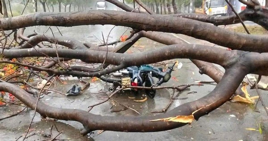 Bình Dương: Một người tử vong, hàng chục căn nhà tốc mái vì mưa giông