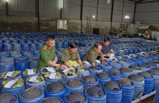 Bắt giữ 4 chủ cơ sở ngâm giá đỗ bằng hóa chất 'nước kẹo', đã bán 3.500 tấn