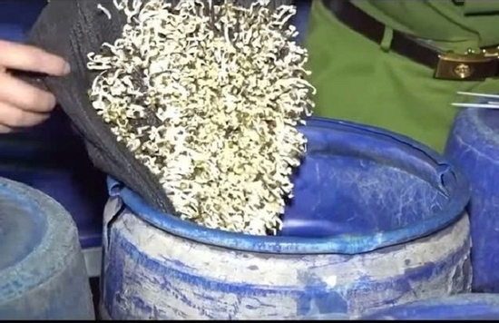 Cận cảnh bên trong xưởng sản xuất 3.500 tấn giá đỗ ngâm hóa chất độc hại