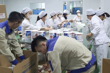 Chỉ đạo khẩn của Bộ Y tế về hậu kiểm sau vụ 573 loại sữa giả tuồn ra thị trường