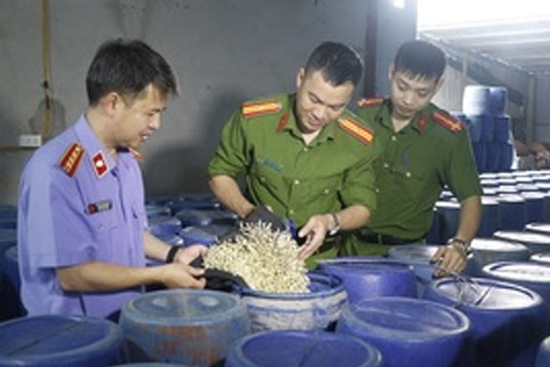 Vạch trần thủ đoạn của 4 kẻ sản xuất 3.500 tấn giá đỗ ngâm chất cấm ở Nghệ An