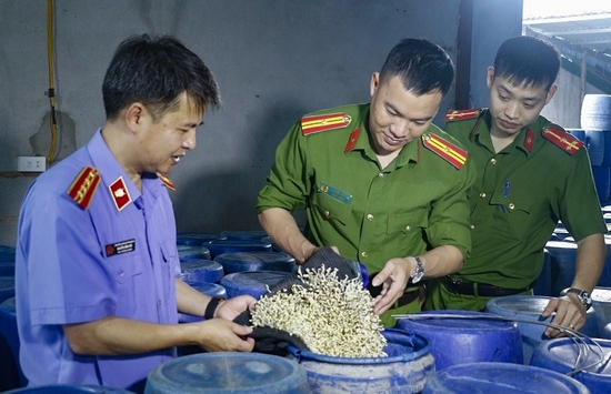 Rợn người quy trình tăng trọng 3.500 tấn giá đỗ bằng 'nước kẹo'