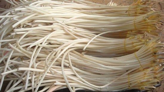 Việt Nam có vị