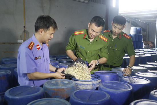 2 đặc điểm của loại giá đỗ ủ 'nước kẹo' gây hại đủ bề cho sức khỏe
