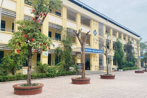Thanh tra kết luận vụ giáo viên tiểu học bị tố 'gạ tình' nữ đồng nghiệp, đánh bảo vệ