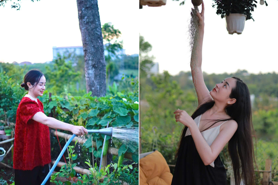 Cô gái Đắk Lắk tự mua đất, làm nhà gỗ, tạo không gian sống đẹp mê mẩn