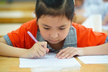 Học sinh tiểu học Việt Nam nằm trong top đầu 3 lĩnh vực Toán, Đọc hiểu và Viết