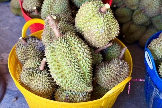 Nỗi oan sầu riêng 'nhúng thuốc'
