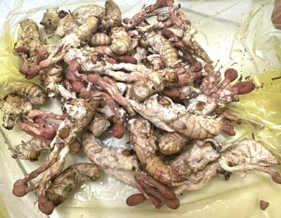 Ăn 