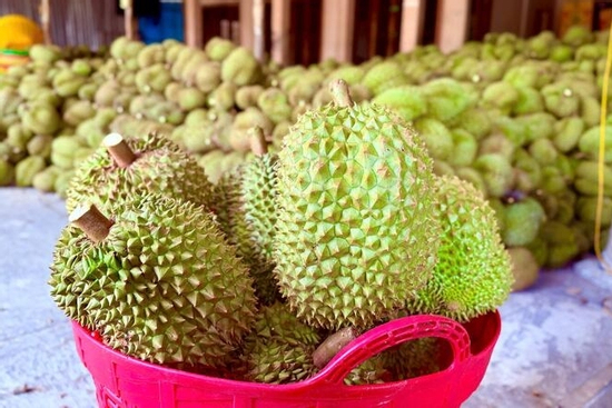 Chuyên gia 'vạch trần' cách cadimi âm thầm 'đầu độc' ngành sầu riêng