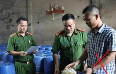 Khởi tố chủ cơ sở bán 60 tấn giá đỗ dùng chất kích thích tăng trưởng