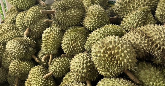 Sầu riêng gặp 'báo động đỏ' từ Trung Quốc, Chủ tịch hiệp hội gửi tâm thư đến Bộ trưởng