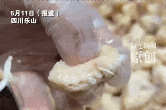 Video nhổ lông phao câu gà hút 5 triệu lượt xem, giúp chủ quán kiếm bộn tiền