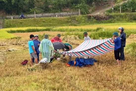 Cầm điện thoại khi đang gặt lúa, người đàn ông bị sét đánh tử vong