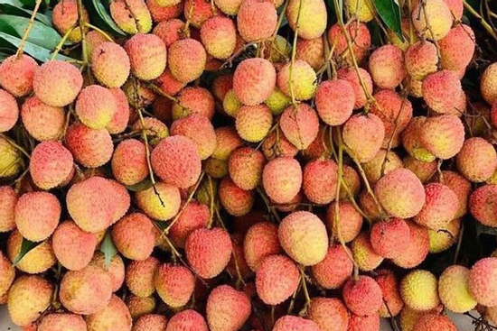 Chợ mạng rao bán vải u hồng chín sớm, giá rẻ bất ngờ