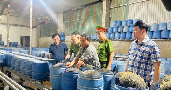 Lạnh người với quy trình sản xuất hàng giá đỗ ngậm hóa chất độc hại