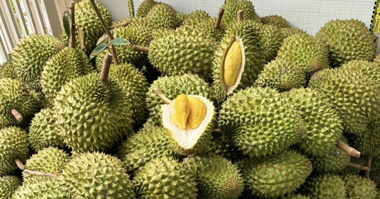 Sầu riêng bị Trung Quốc trả về, DN gửi thẳng lên Thủ tướng một chuyện bất thường