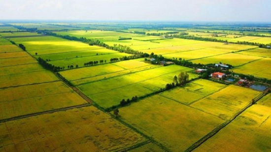 Nhà đầu tư lùng mua đất nông nghiệp, chờ thời tăng giá