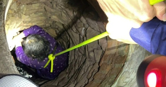 Rơi xuống giếng sâu, cụ bà 84 tuổi ở Bắc Giang được giải cứu thành công