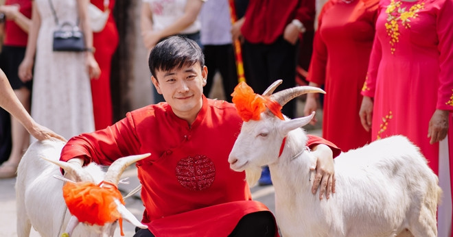 Chú rể dắt 2 con dê đi đón vợ, phía sau là câu chuyện đầy hài hước