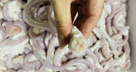 Lòng se điếu bán chợ online chỉ 25.000-40.000 đồng/kg, thịt nhập giá rẻ đổ bộ