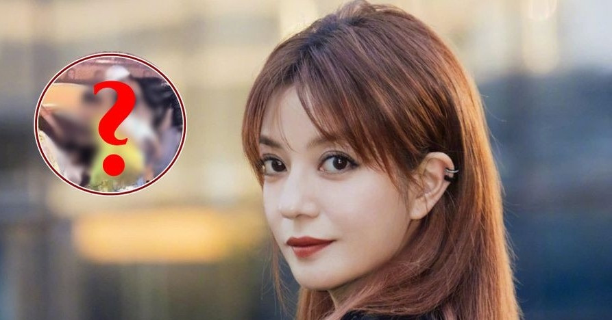 Triệu Vy: Từ Hình Ảnh 'Xấu Hổ Nhất' Đến Nữ Thần Giải Trí - Hành Trình Đầy Thăng Trầm