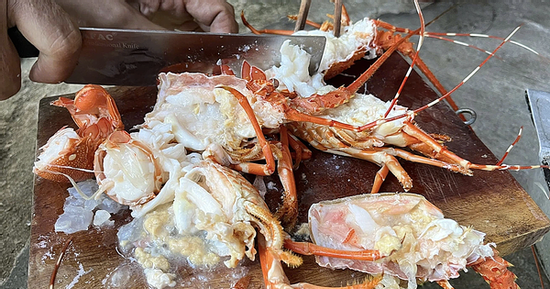 Bơm thạch rau câu 'biến' tôm hùm chết thành tươi, người nội trợ làm cách nào nhận biết đúng tôm hùm tươi?