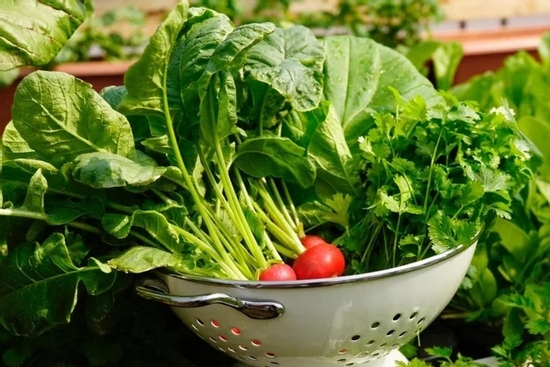 Chuyên gia vạch rõ ảo tưởng nhận biết rau có thuốc trừ sâu bằng mắt thường