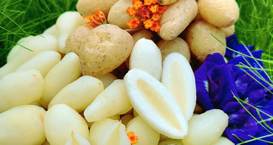 Đặc sản 'dưới lòng đất' ở Long An tên xấu nhưng ăn giòn, ngon