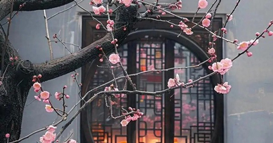 Ngày sinh Âm lịch của người không ngại khổ, nhờ đó mà có nhân sinh như ý
