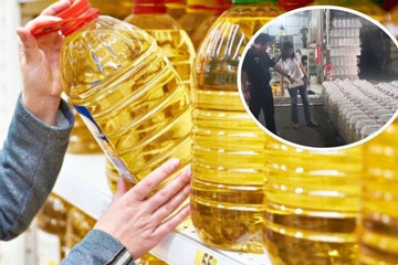Triệt phá đường dây làm dầu thực vật giả, thu giữ hơn 1.000 tấn