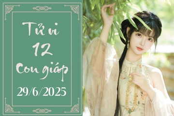 Tử vi 12 con giáp hôm nay ngày 29/6/2025: Dần chậm trễ, Dậu khó khăn