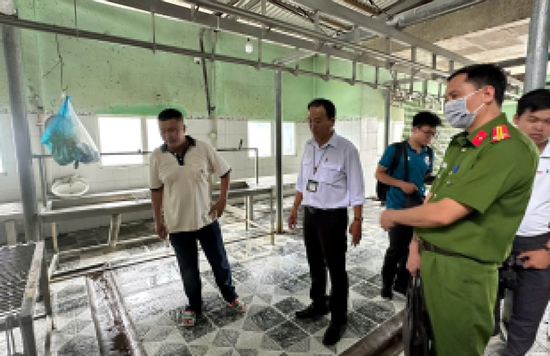 Vụ C.P. bị tố bán heo bệnh: Heo bị đóng dấu kiểm dịch sai, sẽ chuyển hồ sơ sang Bộ Công an