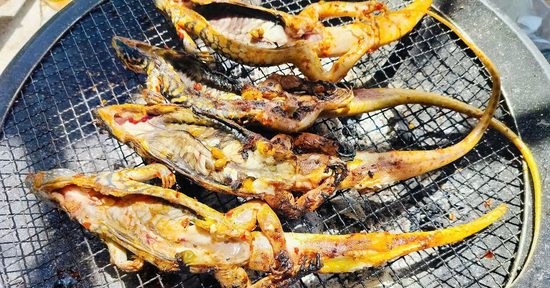 Đặc sản 4 chân đuôi dài thượt ở Bình Thuận, thịt săn chắc, ngọt thơm hơn thịt gà