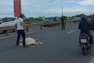 Đâm bạn gái trọng thương, người đàn ông chạy ra đường lao vào xe tải tử vong