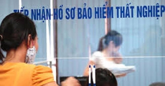 Hơn 9.000 người xin trợ cấp thất nghiệp ở TPHCM có trình độ đại học trở lên