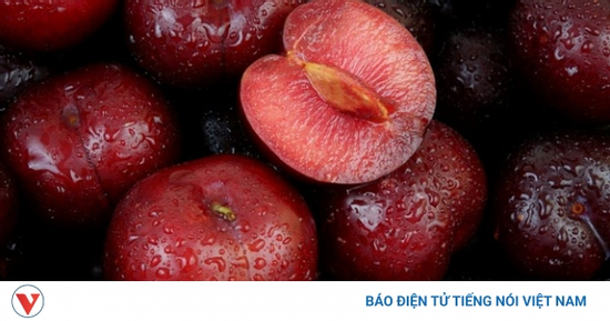 Mận đại kỵ với những người này, chớ dại ăn vào kẻo mang họa