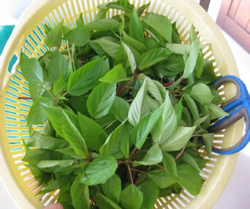 2 loại rau ít 