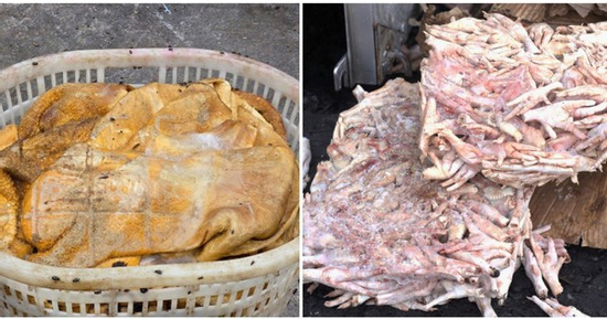 Tiêu hủy hơn 25 tấn thực phẩm đông lạnh bốc mùi hôi thối