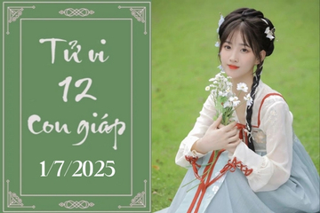 Tử vi 12 con giáp hôm nay ngày 1/7/2025: Thìn khó khăn, Thân phát triển
