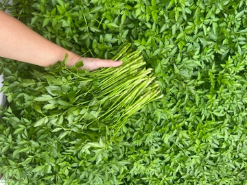 Chuyên gia cảnh báo những loại rau là 'ổ sán', không nên ăn sống