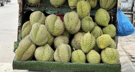 Lần đầu tiên trong 4 năm, dân thoải mái ăn sầu riêng với giá rẻ khó tin
