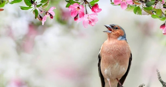 Sinh đúng ngày, số mệnh đổi khác: Ngày sinh Âm lịch của người bản lĩnh, vững vàng trước nghịch cảnh