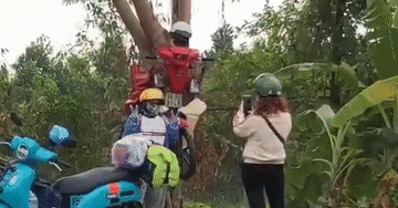 Mô hình xe máy ‘xuyên cây' ở An Giang khiến triệu người tò mò, tranh cãi
