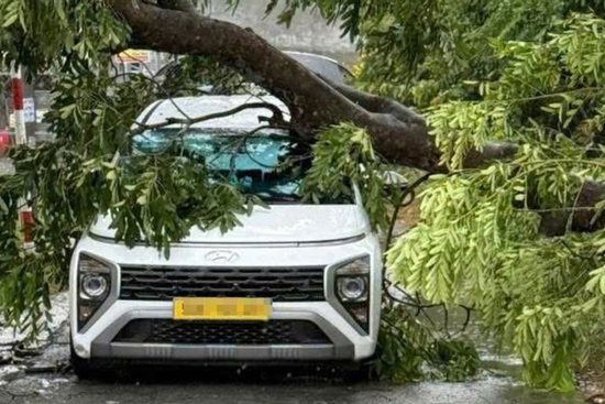 Nhiều cây xanh ngã đổ, đè cả vào ô tô trong mưa giông lớn ở TPHCM