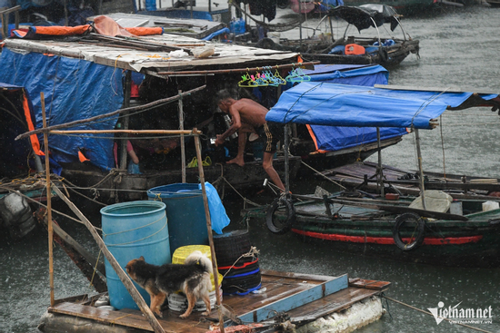 Quảng Ninh mưa gió mịt mù, cảnh sát gọi loa thuyết phục ngư dân rời thuyền